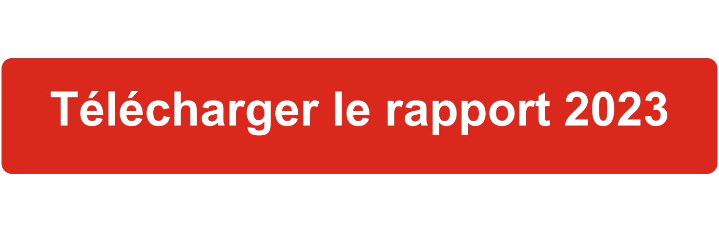 Télécharger le Rapport Complet
