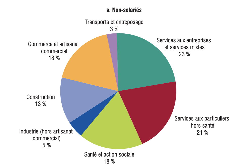 Répartition des non-salariés en France en 2017 selon l'INSEE