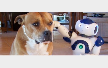 Maddy Keynote : le robot, une menace ou une aide pour l’humanité 