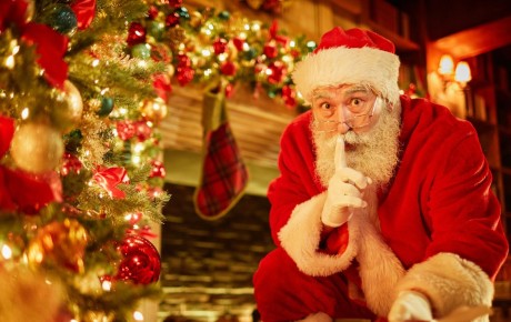 Cheminée_endommagée_sapin_renversé_comment_la_RC_Pro_couvre_les_imprévus_du_Père_Noël 